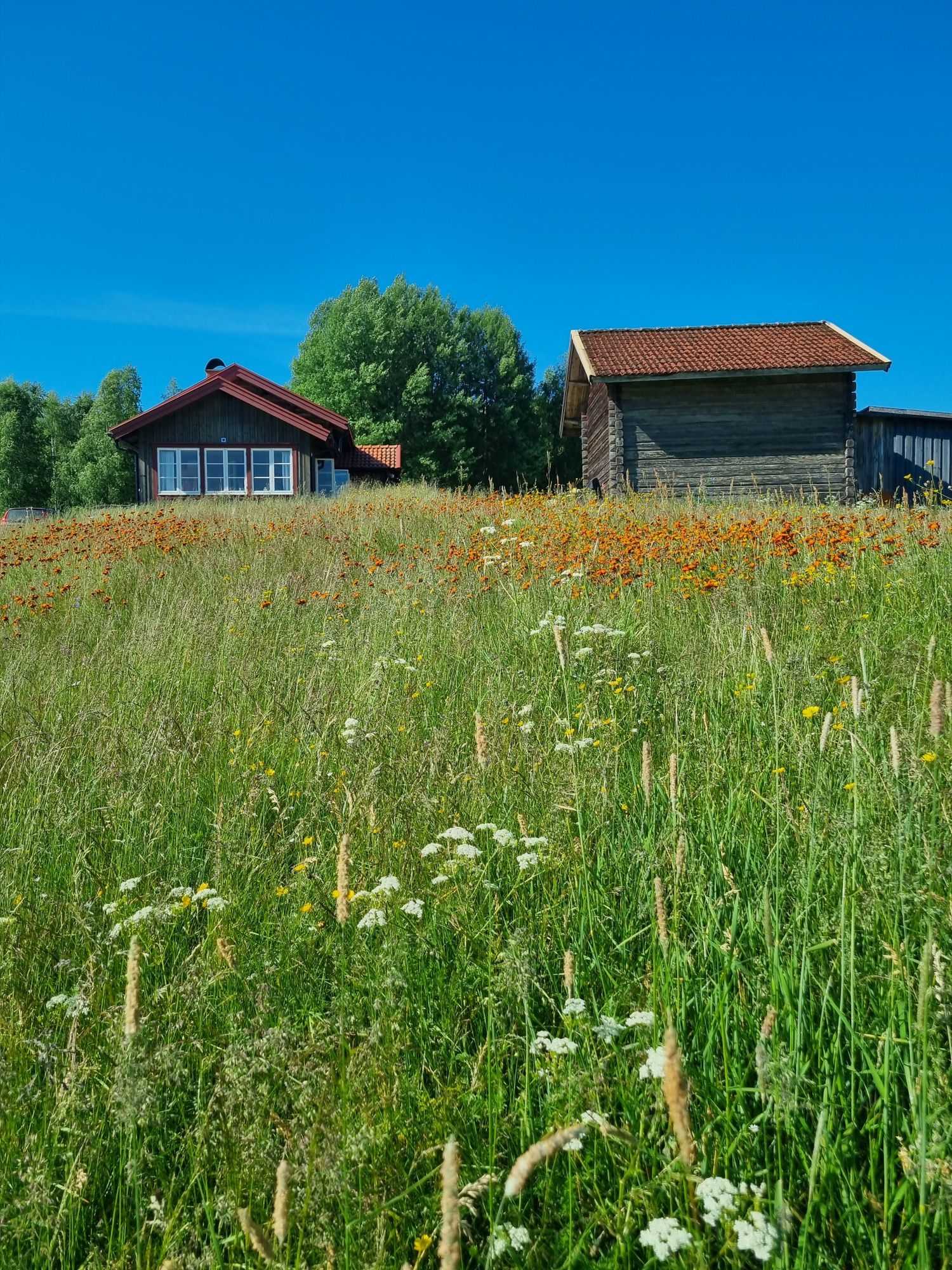 Mysig stuga i Gopshus längs Vasaloppsspåren – bild 21 av 24