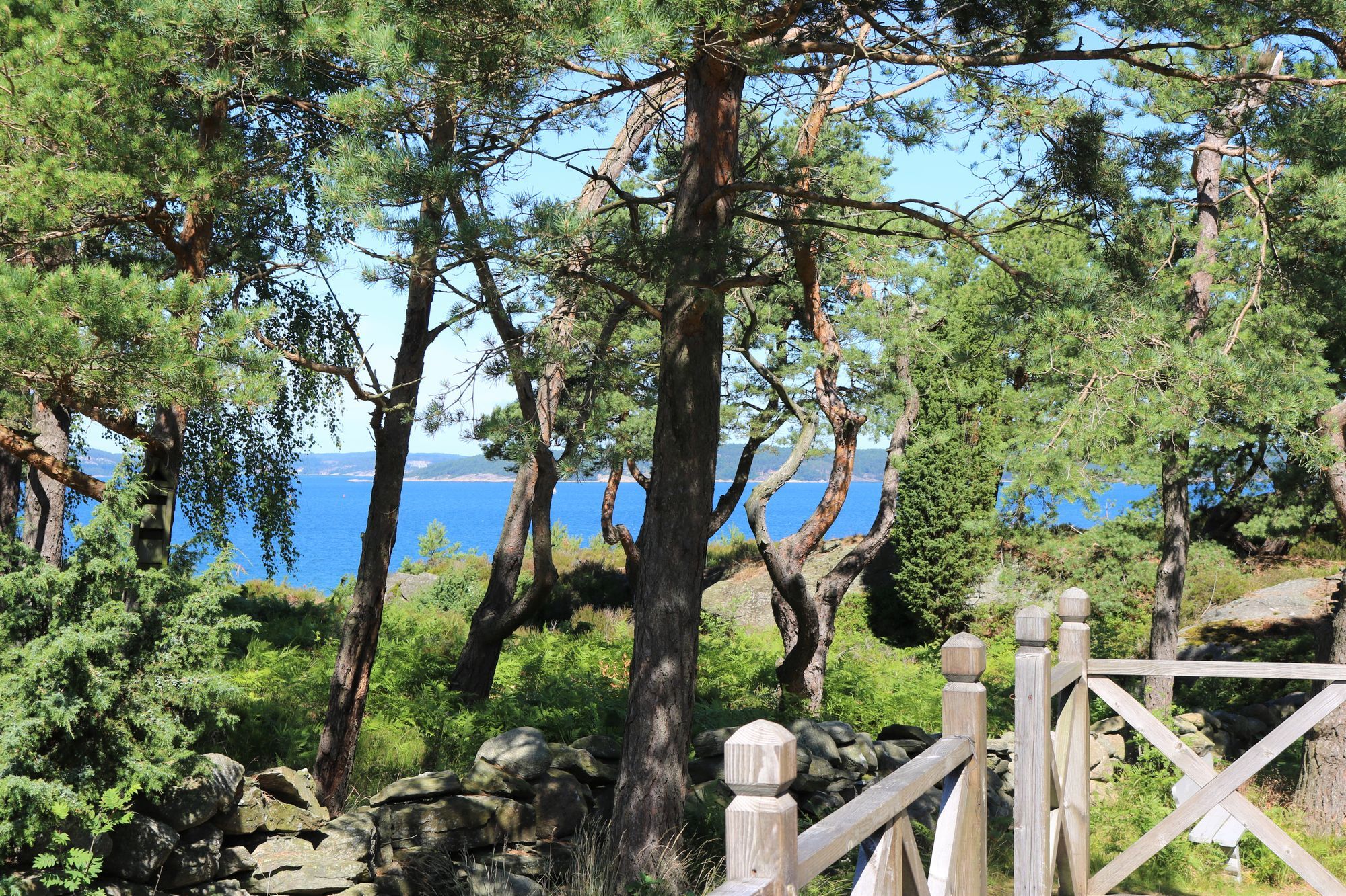 Hus vid havet