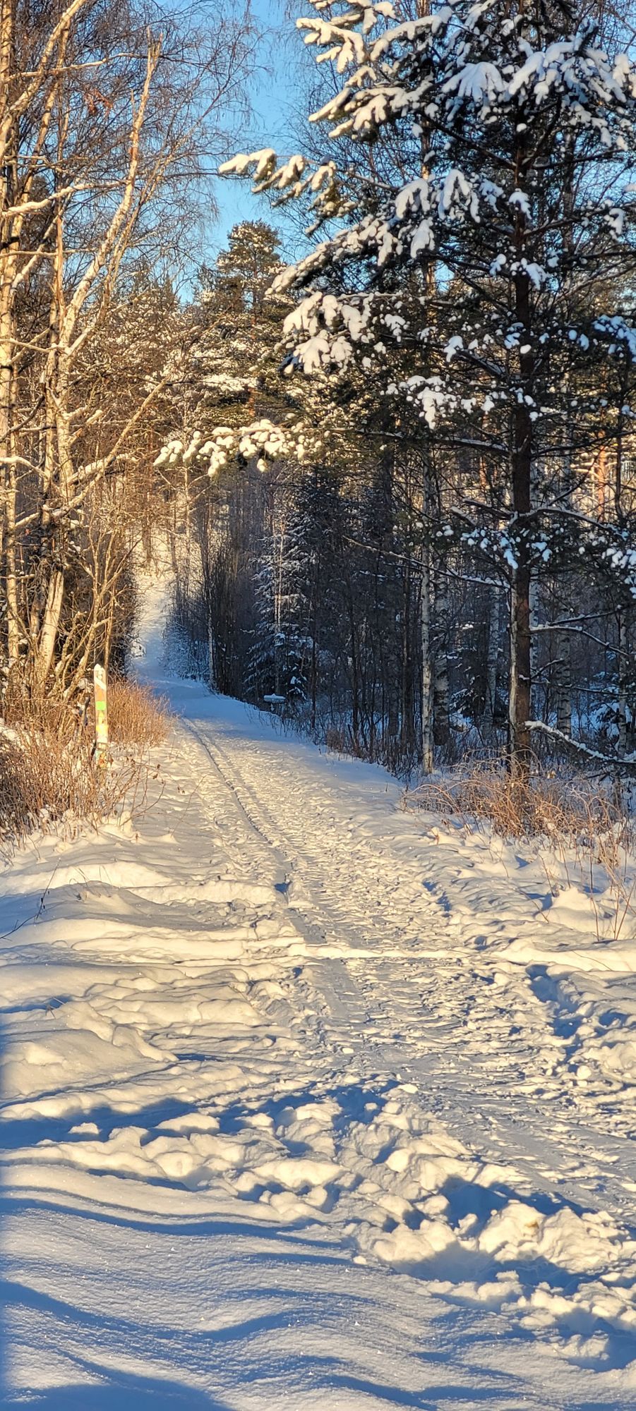 Krånggårdens gammelstuga uthyres dygns-/veckovis. – bild 20 av 24