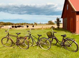Ardhem – rural hideaway near Ljugarn