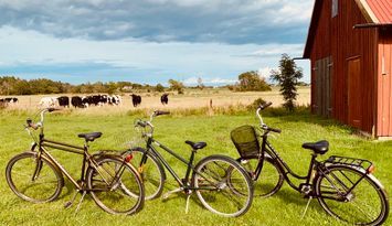 Ardhem - gårdsidyll nära Ljugarn i vackra Ardre