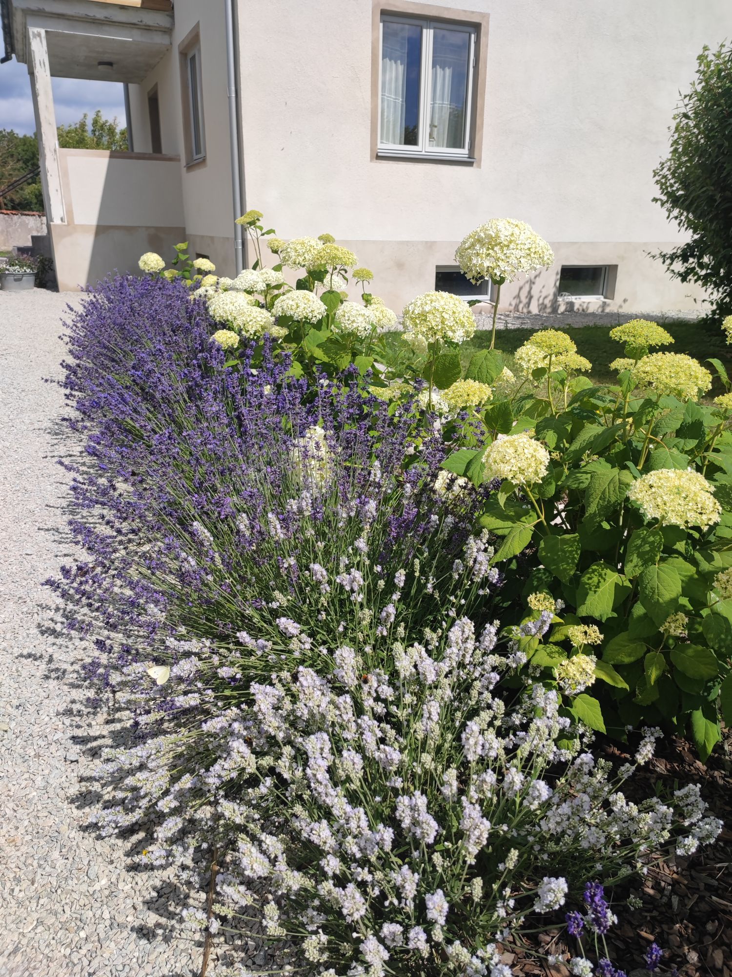 Villa på norra Gotland - här känns det som hemma – bild 6 av 24