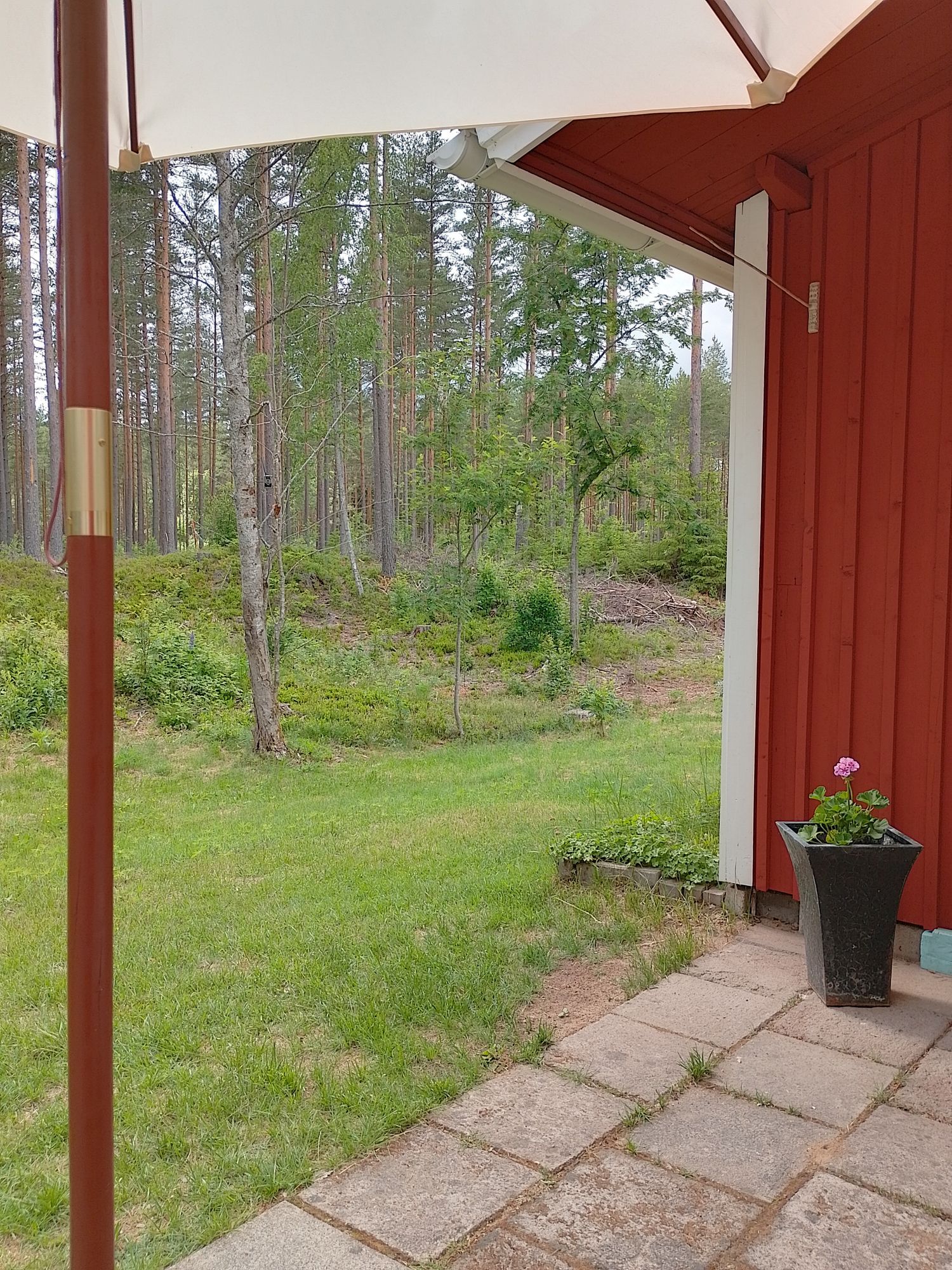 Allergivänlig stuga i skogen med nära till allt – bild 17 av 21