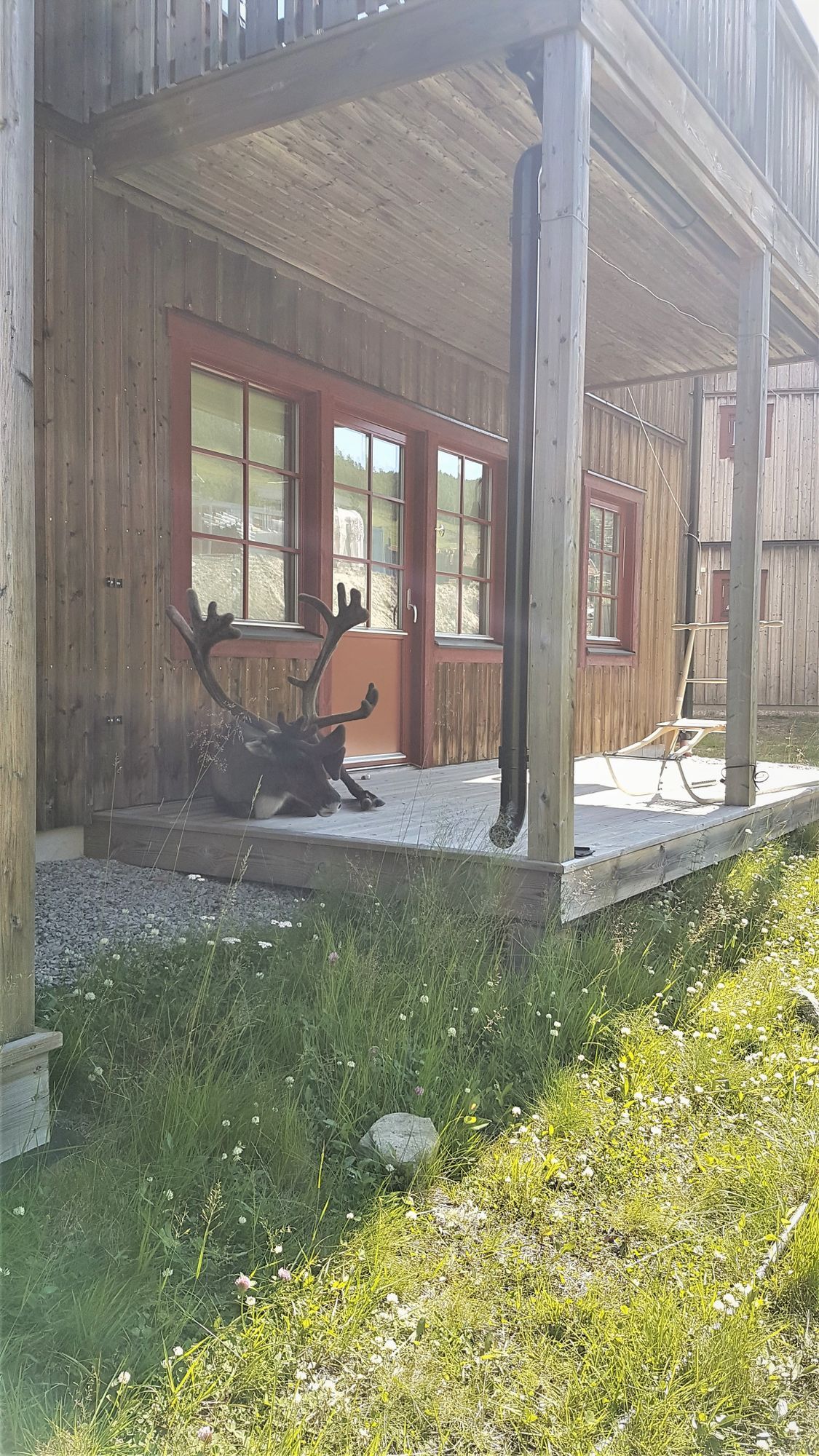 Ramundberget från sin bästa sida – bild 11 av 11