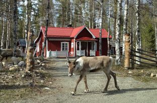 Mysig stuga Röjan, Klövsjö, Vemdalen