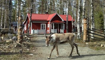 Mysig stuga Röjan, Klövsjö, Vemdalen