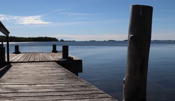 Stort sjöställe i Stockholms skärgård
