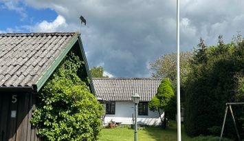 Laholm 5-10 minuter gångväg till centrum samt bad