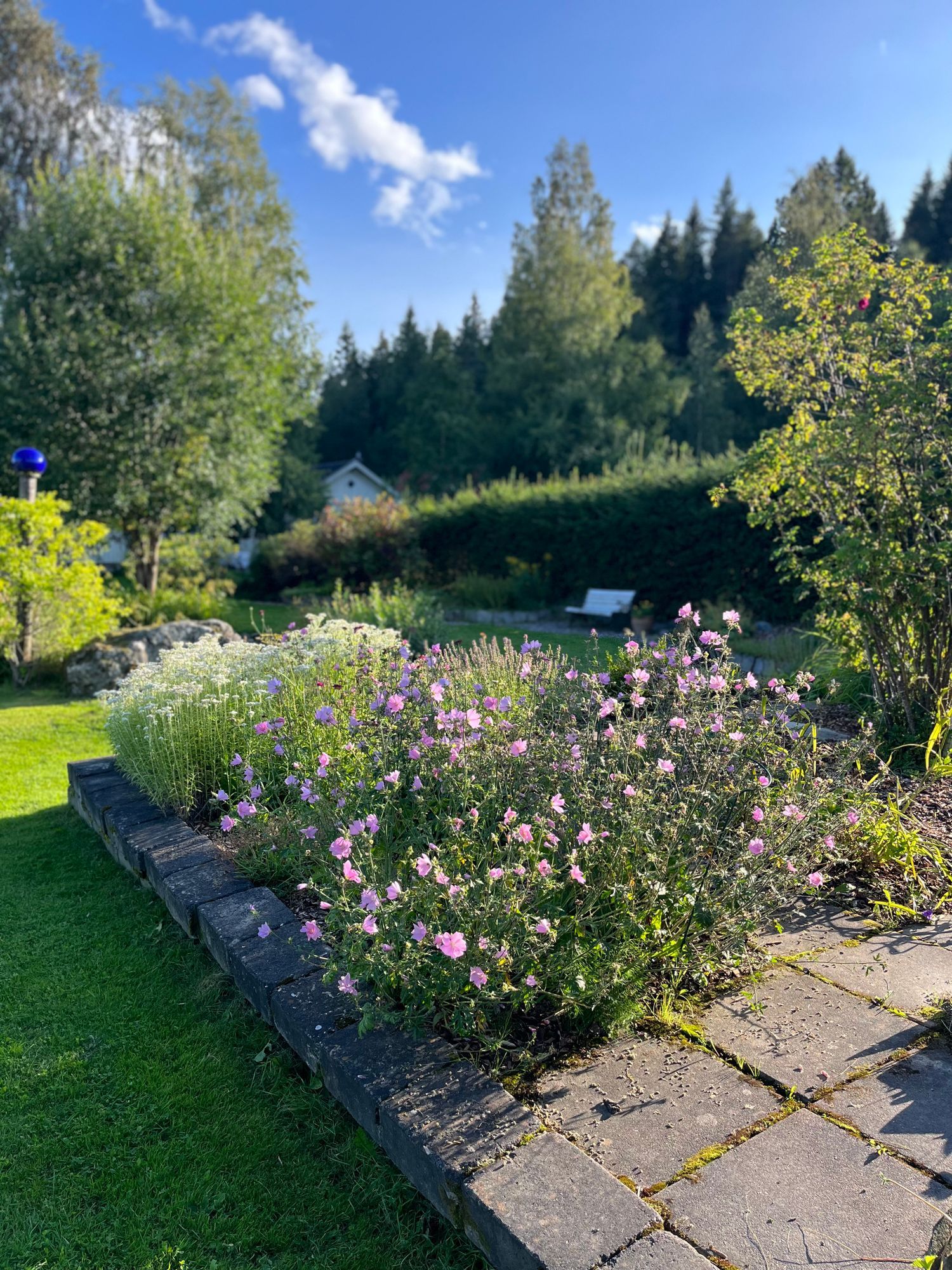 Privat Glamping & Spa i Naturen  . upp till 10P – bild 17 av 24