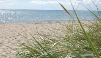 Yngsjö 80 m till havet och Sveriges längsta strand