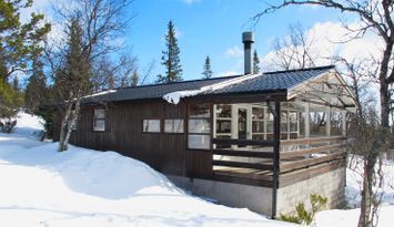 Charmig arkitektritad fjällstuga