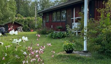 Hus i Öregrund och Östhammars skärgård.