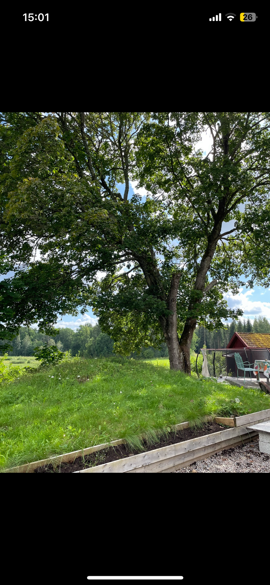 Mysigt torp – bild 19 av 24