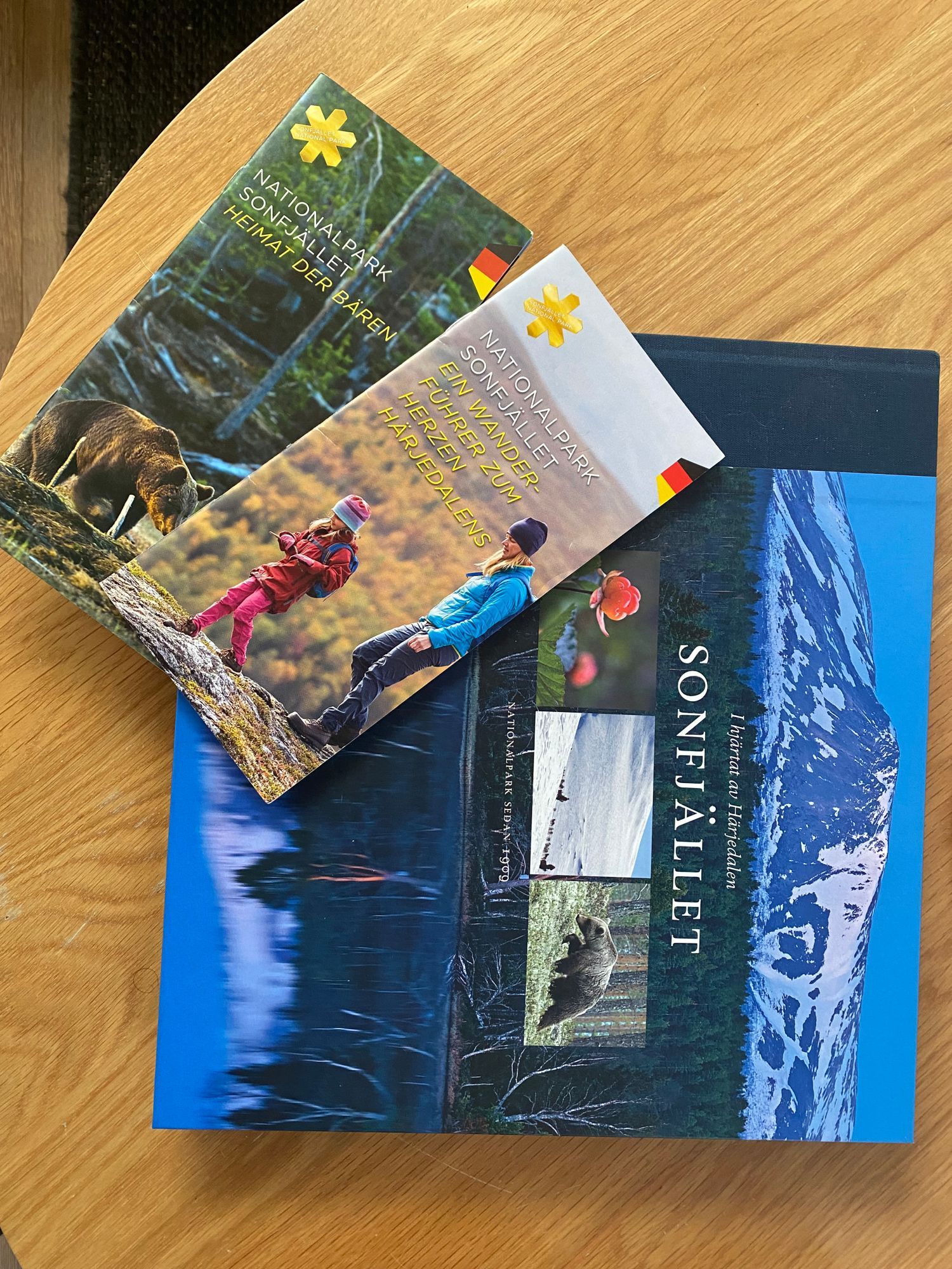Andåsen - breath of nature(sauna, fireplace, lake) – bild 23 av 24