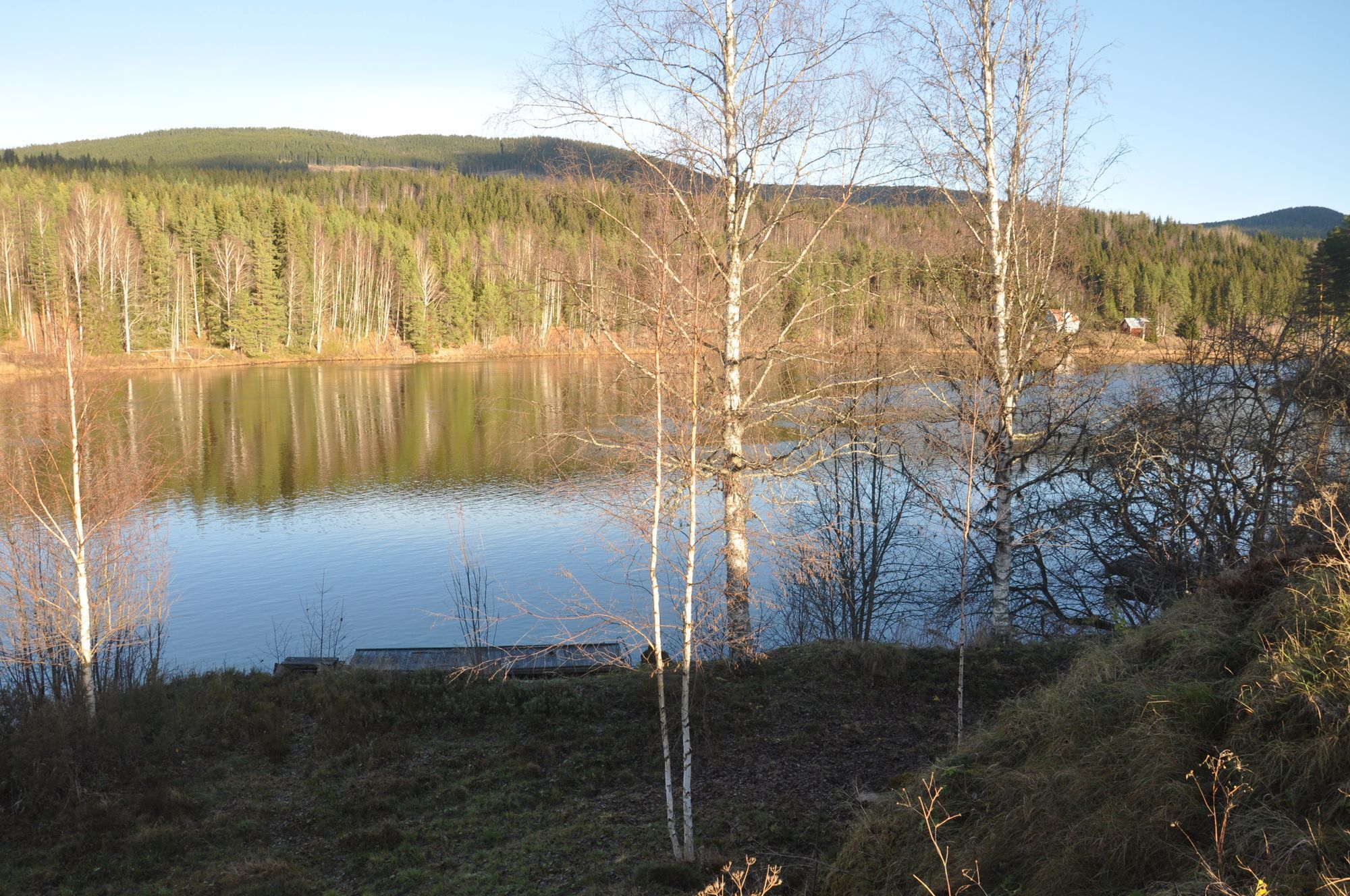 Höljes Gästis stuga – bild 14 av 15