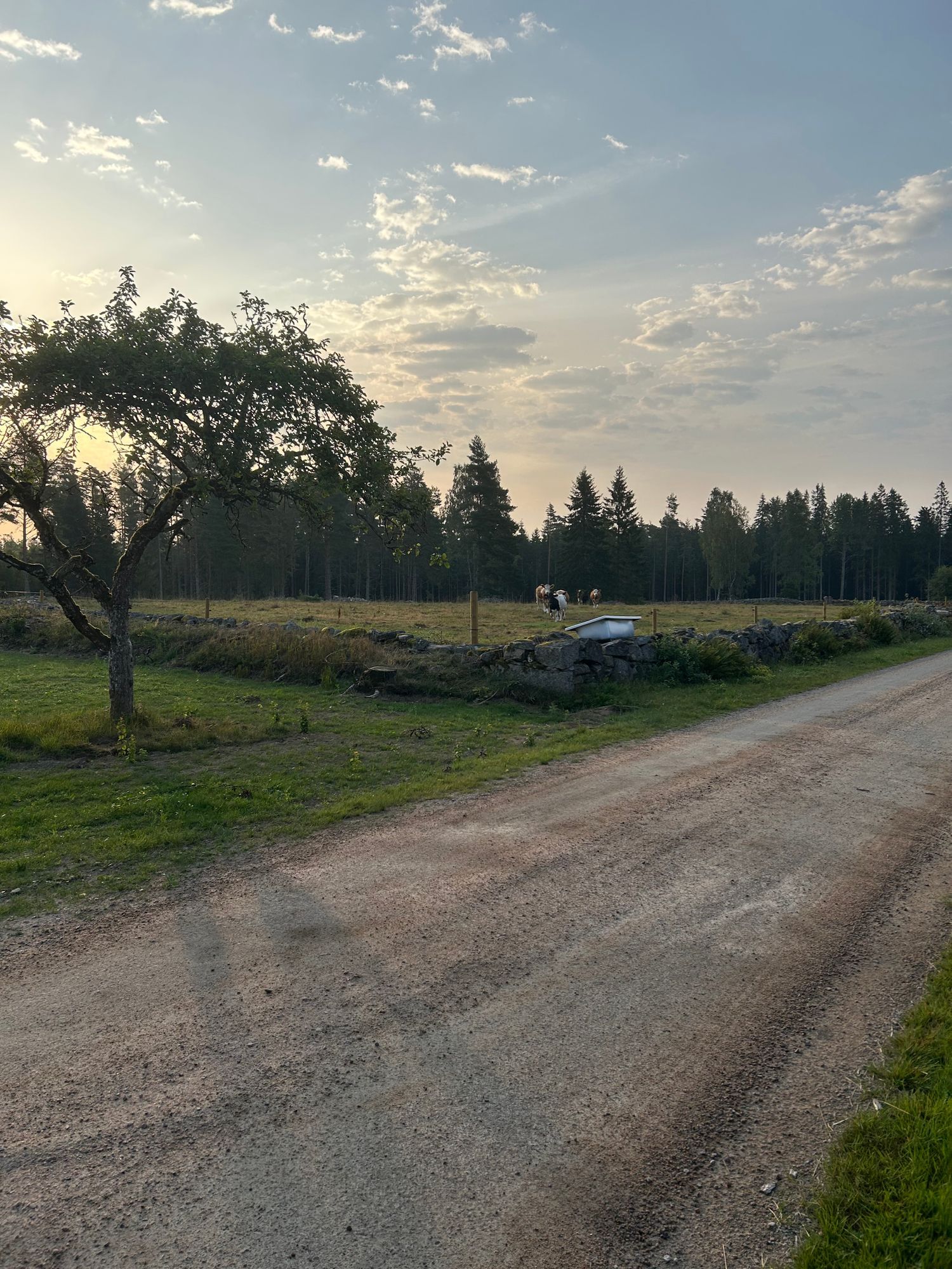Liten gård – bild 10 av 18