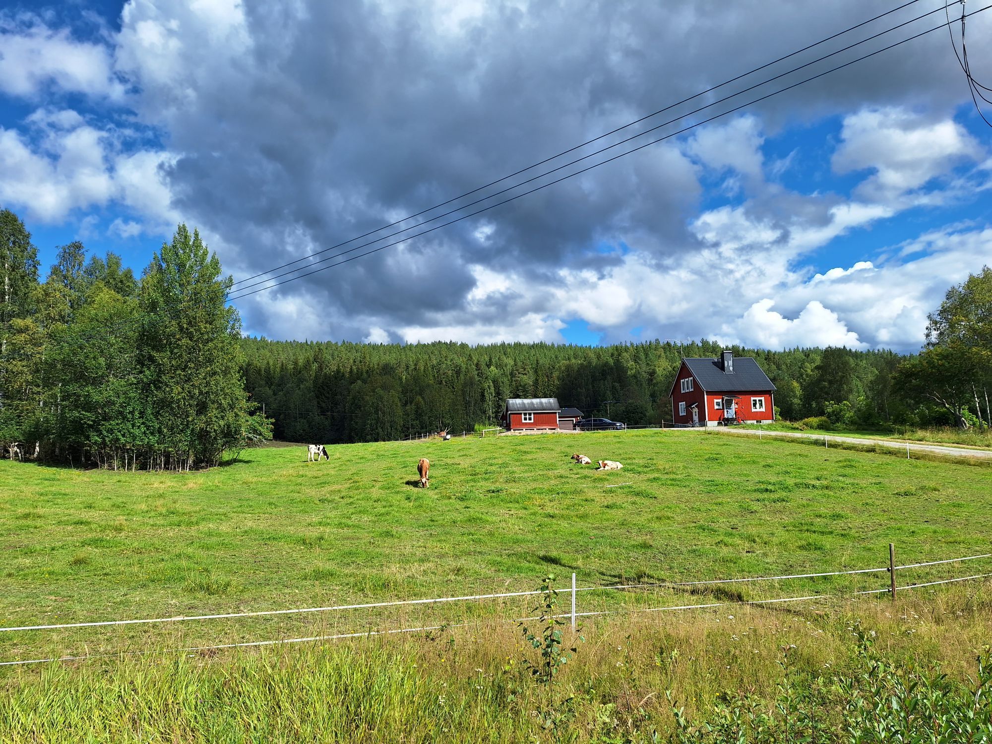 Mysig enskild gård med stora grönytor – bild 3 av 16