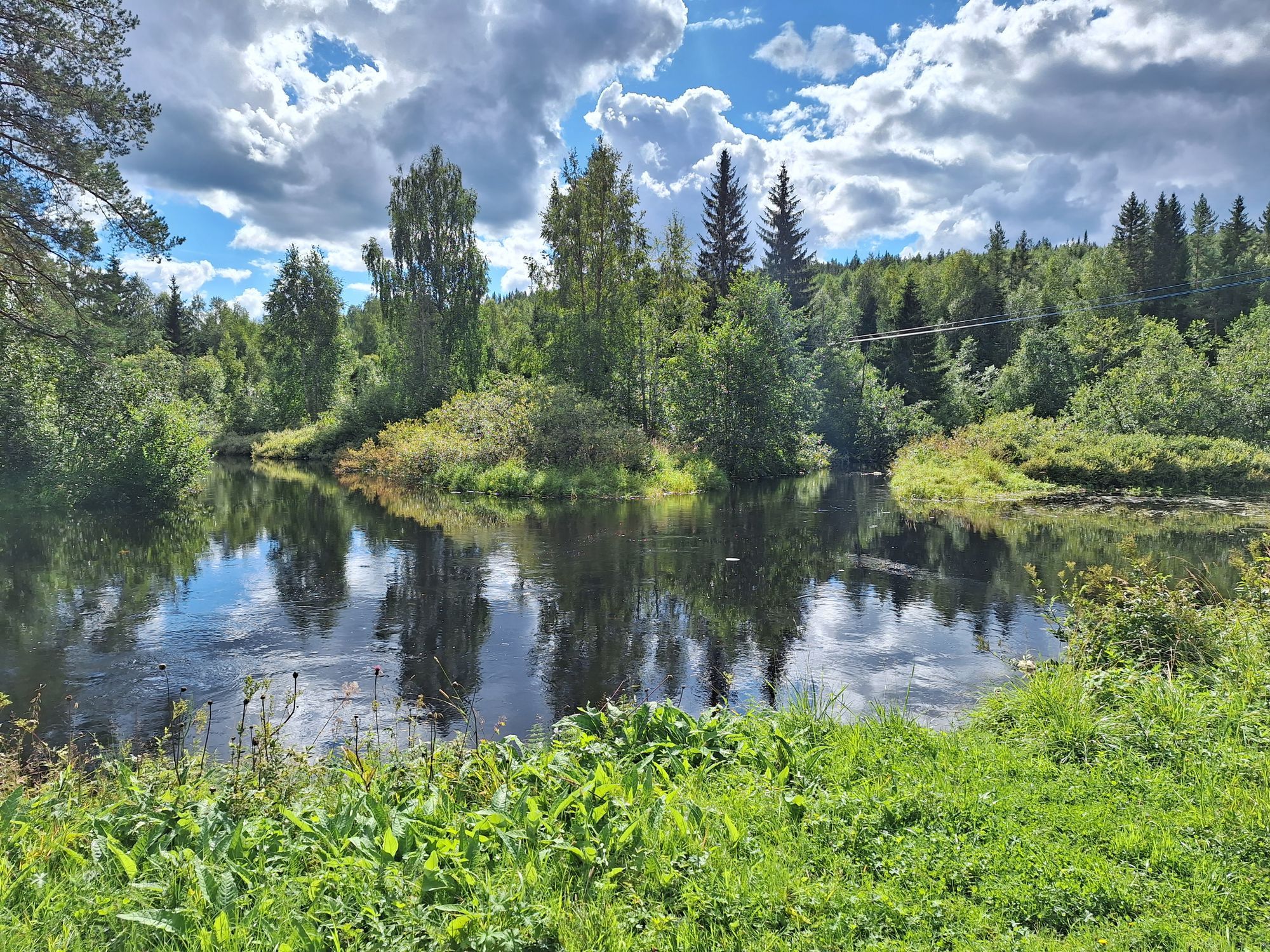 Mysig enskild gård med stora grönytor – bild 5 av 16