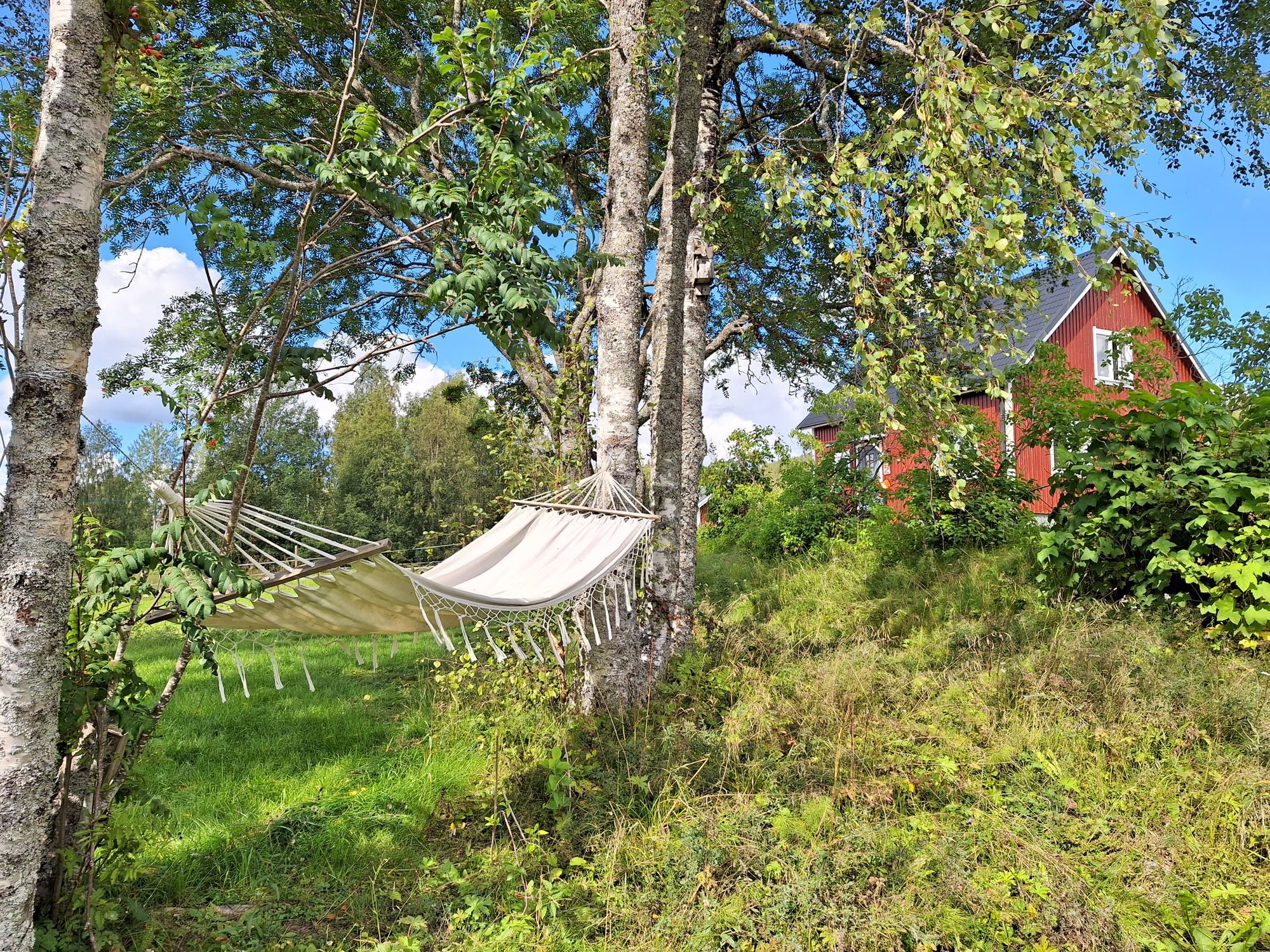 Mysig enskild gård med stora grönytor – bild 9 av 16