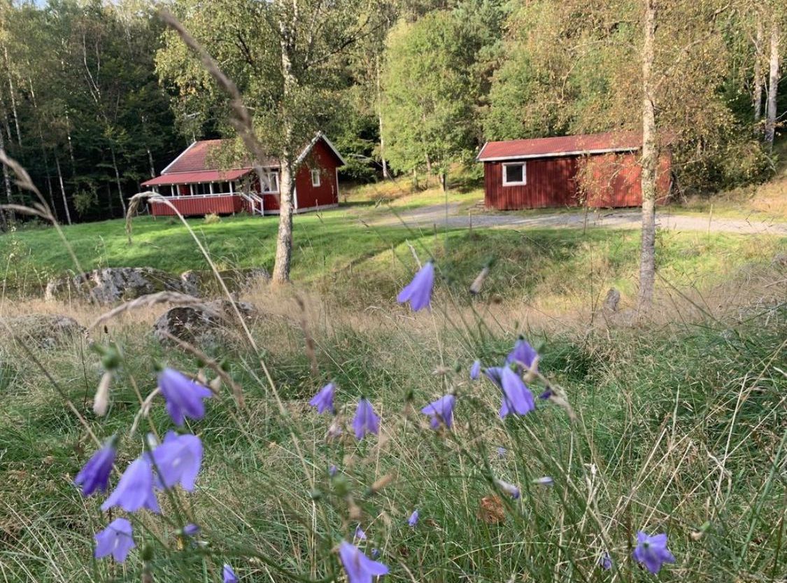 Stuga "Vena Berg"