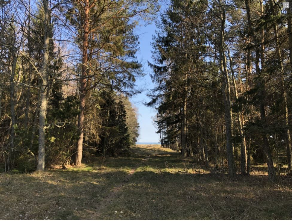 Havsnära Öland – bild 20 av 20