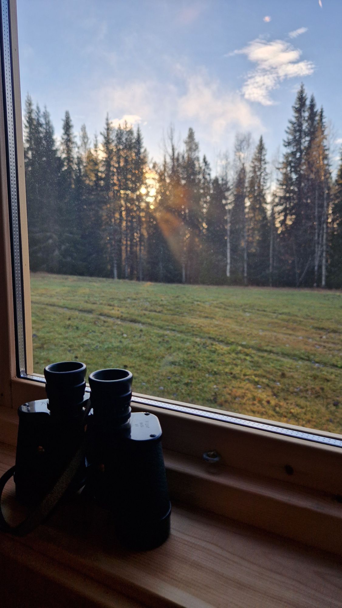 Stuga i Rentjärn Västerbotten – bild 10 av 23
