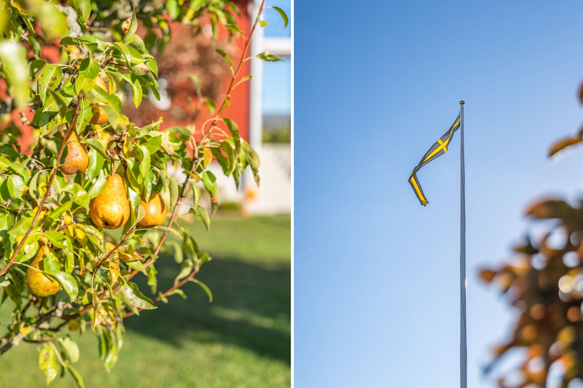 Lantligt sommarhus i Böda på Öland – bild 4 av 16