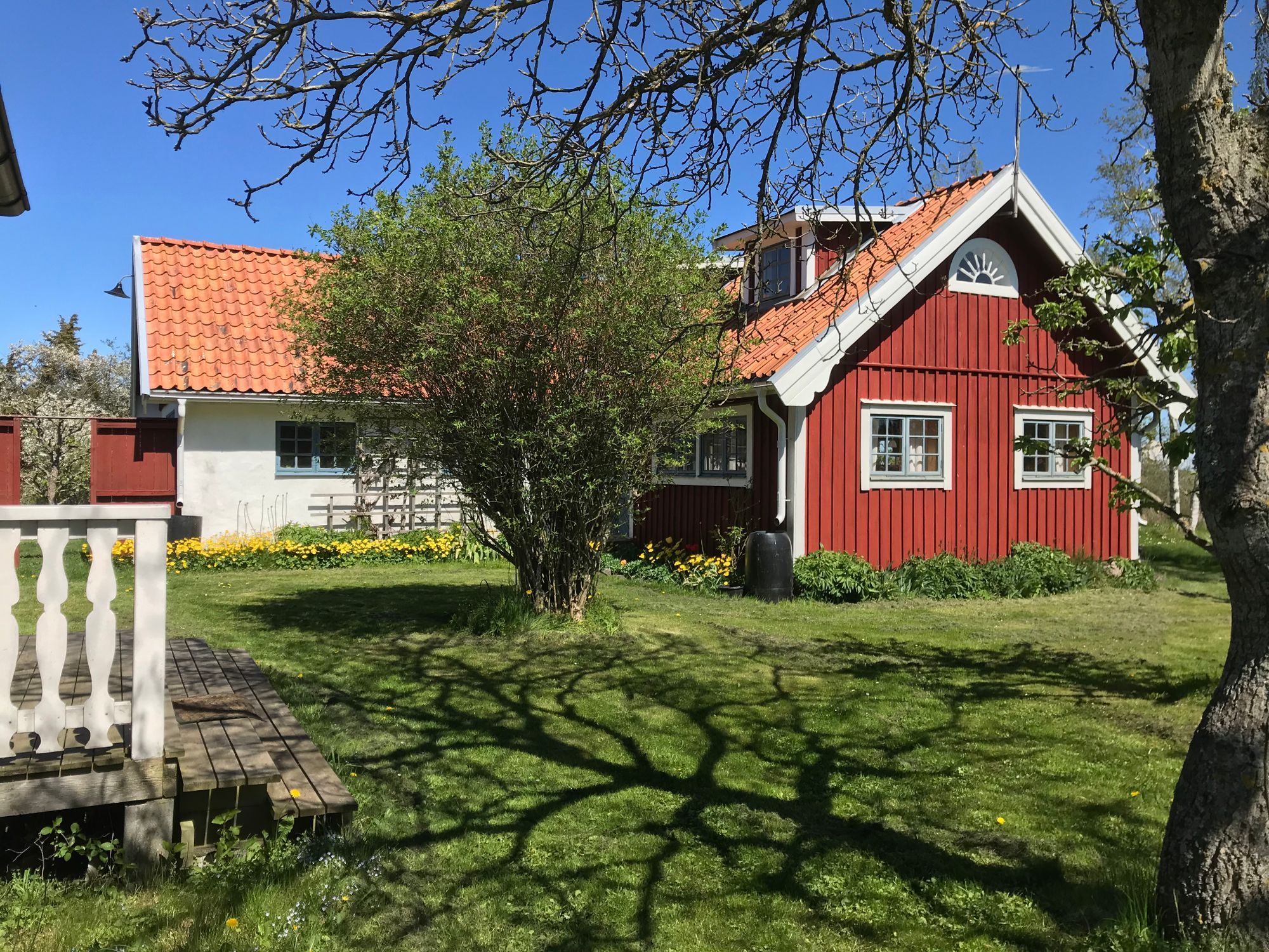 Öland,Borgholm, Köpingsvik,Alböke, Eriksberg. – bild 2 av 24
