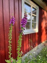 Stuga för upp till 10 personer i södra Småland