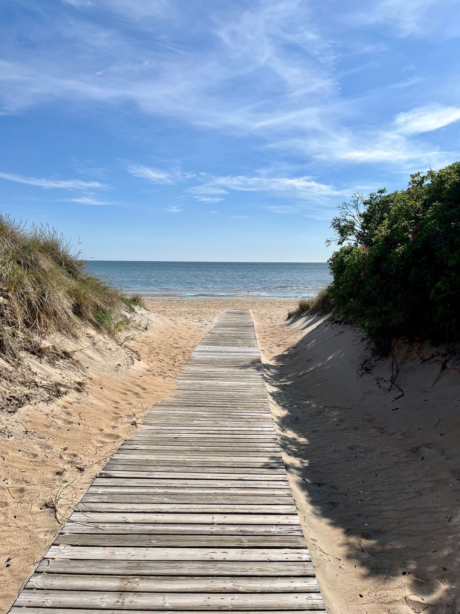 Badstuga Skrea Strand, Falkenberg – bild 15 av 17