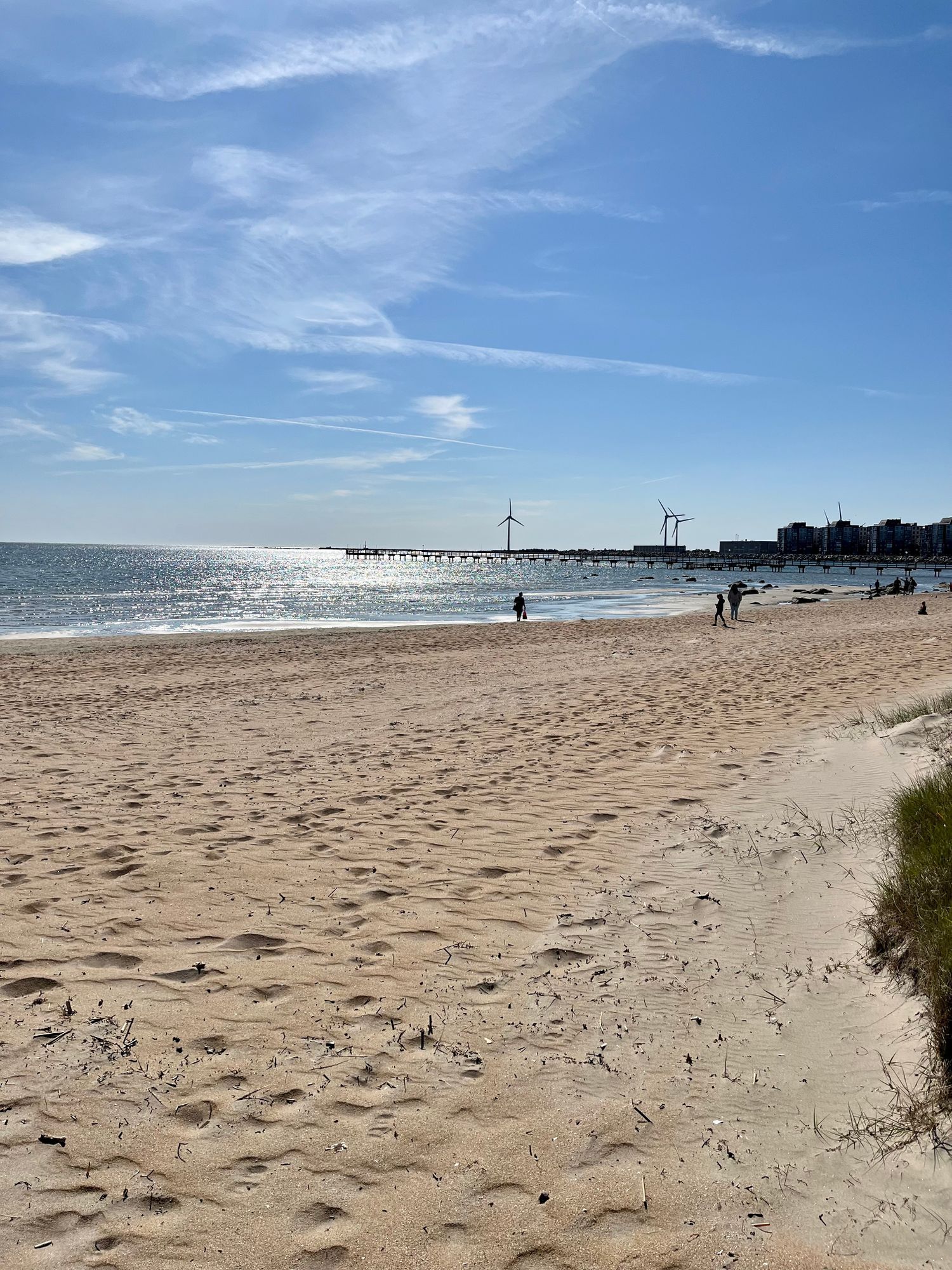 Badstuga Skrea Strand, Falkenberg – bild 17 av 17