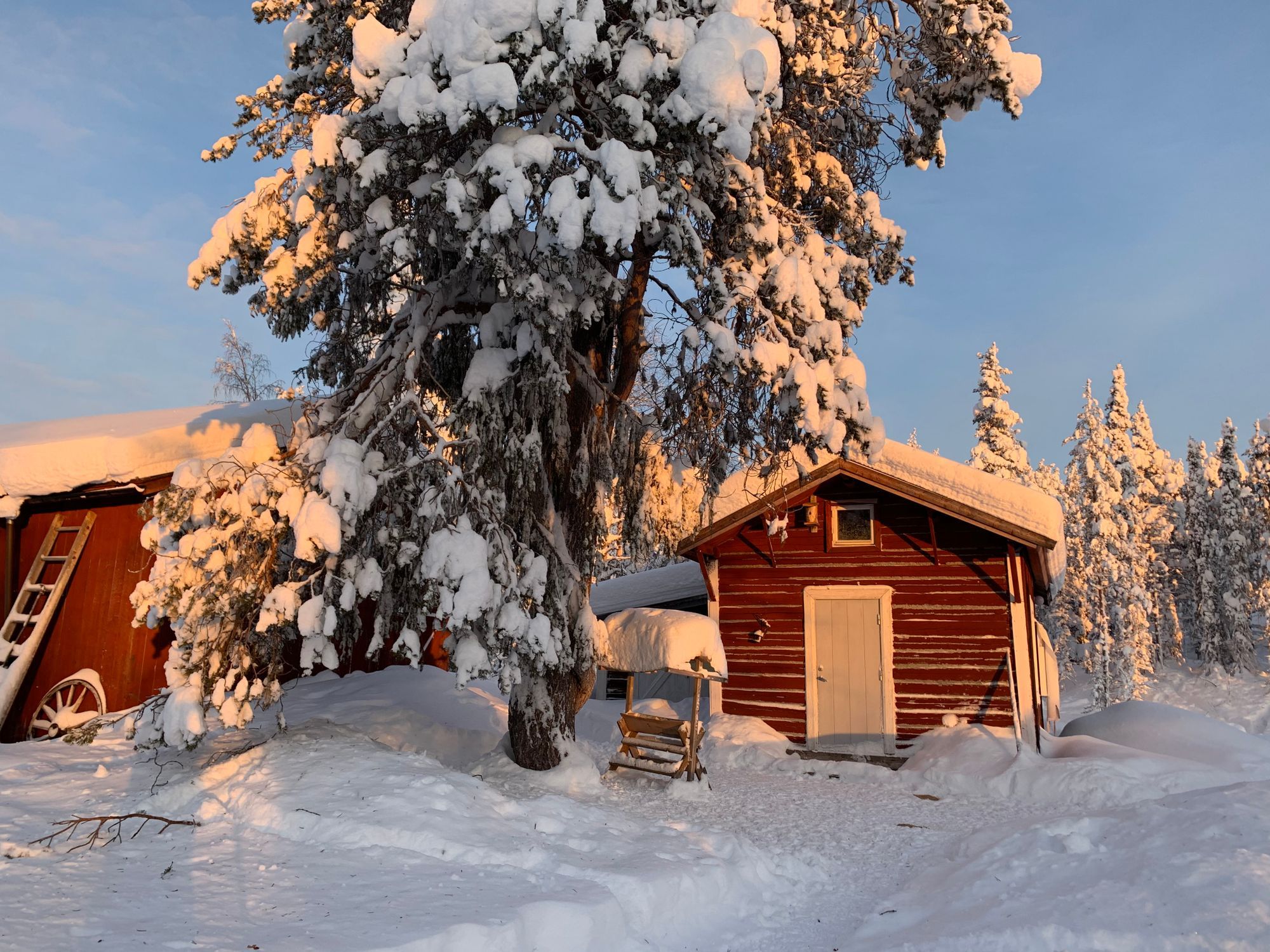 🌲Tiny Timber Cabin from 1900s ~ Nattavaaraby