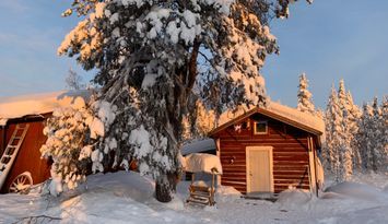 🌲Tiny Timber Cabin from 1900s ~ Nattavaaraby