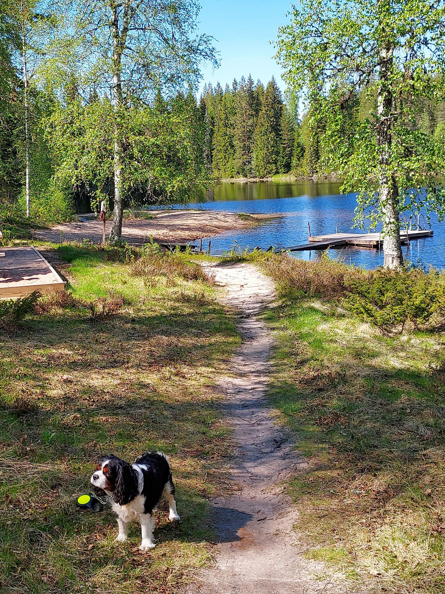 Mysig stuga i Sälen med 6 bäddar – bild 11 av 11