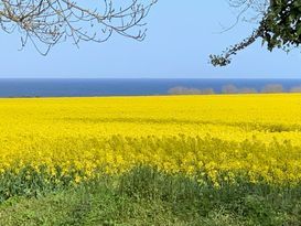 Österlen - beautiful views in a quiet setting