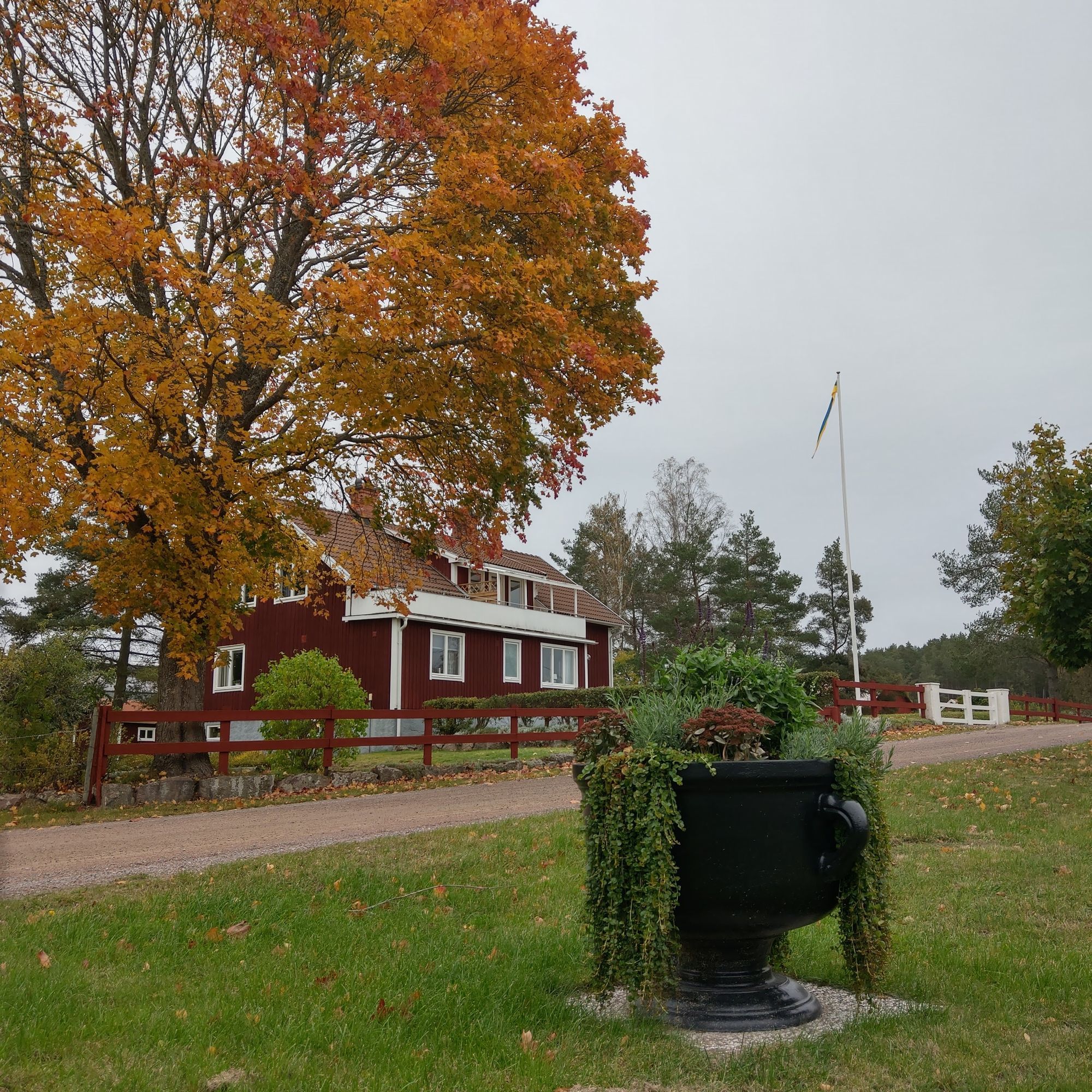 Semesterhus mindre by Tälleryd, Vena , Vimmerby – bild 2 av 24
