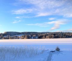 Sjönära avskilt boende i Jämtlandsskogen