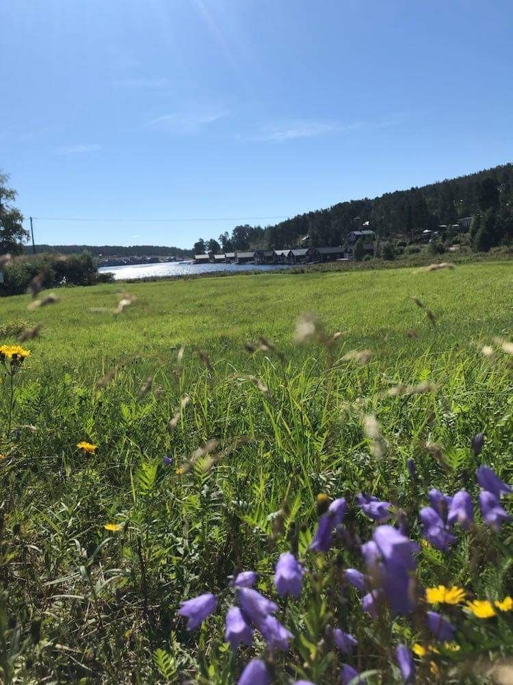 Fin stuga med utsikt över Norrfällsviken – bild 12 av 12