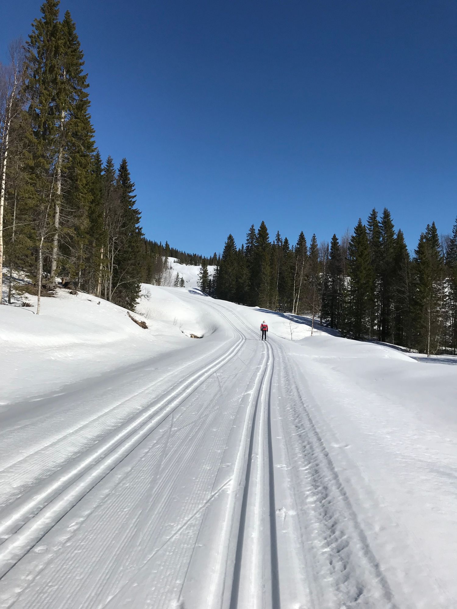 Trevlig fjällstuga vid Åkersjön – bild 14 av 16