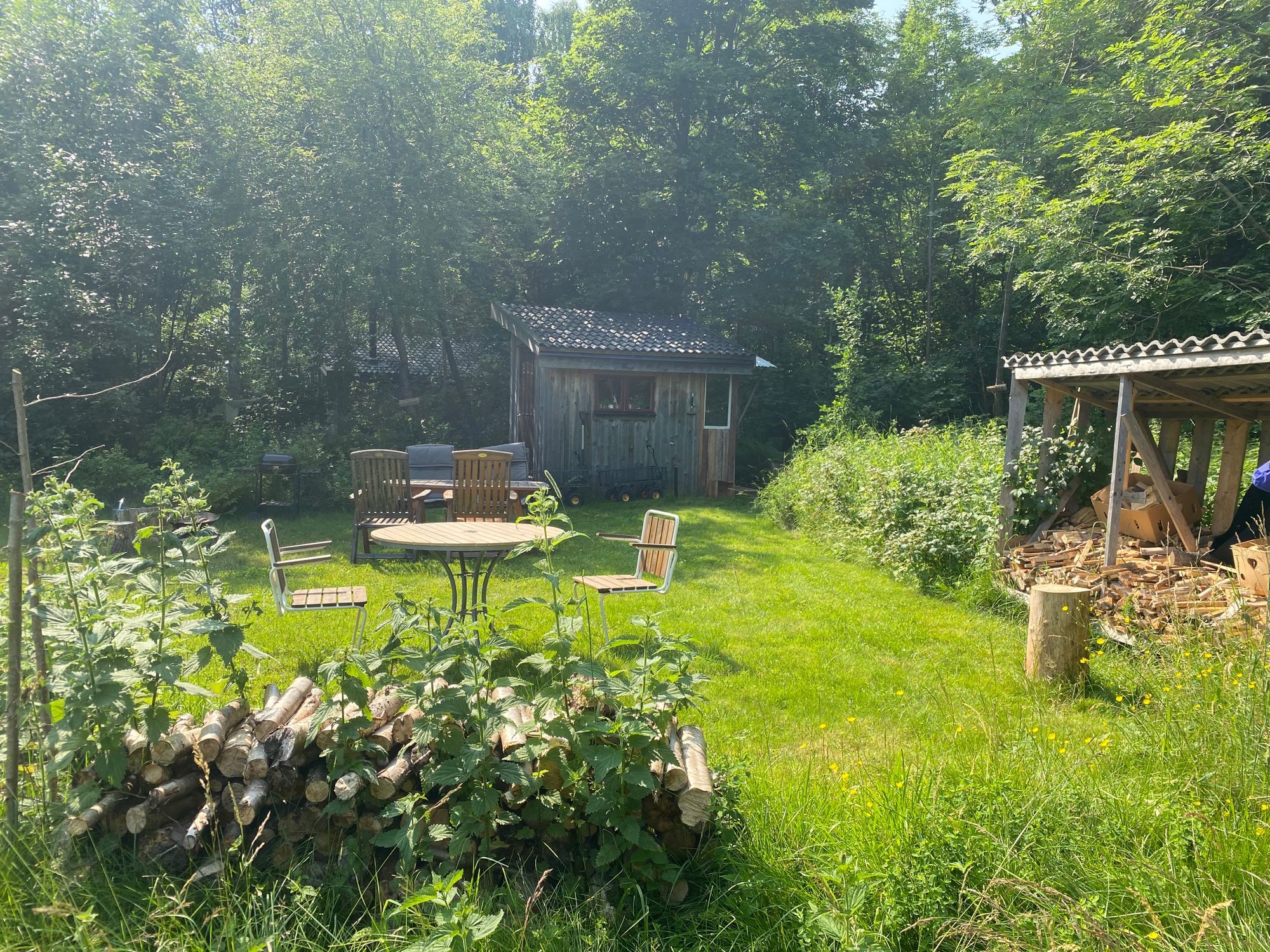 Rå naturhotell, Hassel – bild 21 av 24