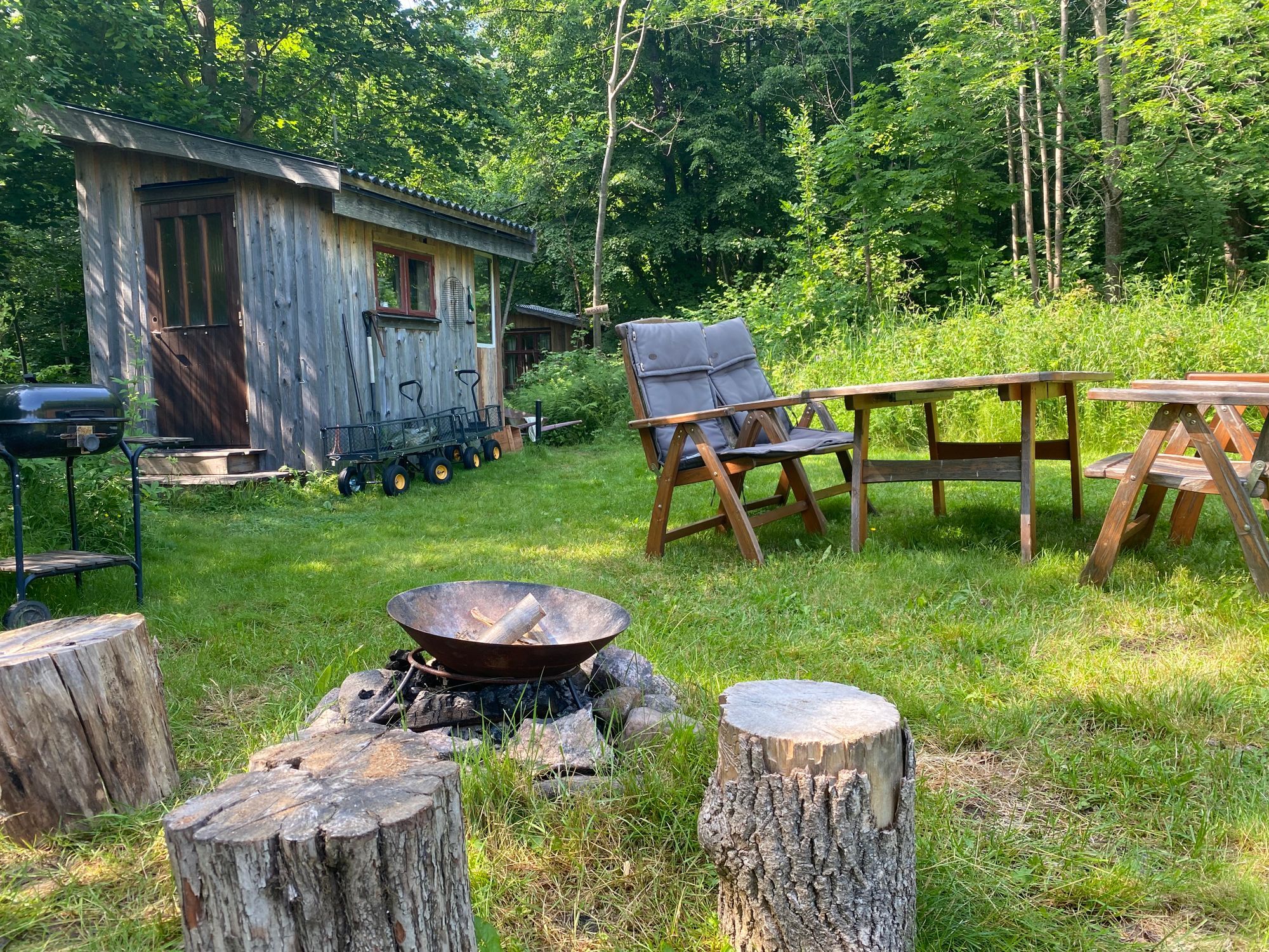 Rå naturhotell, Hassel – bild 22 av 24