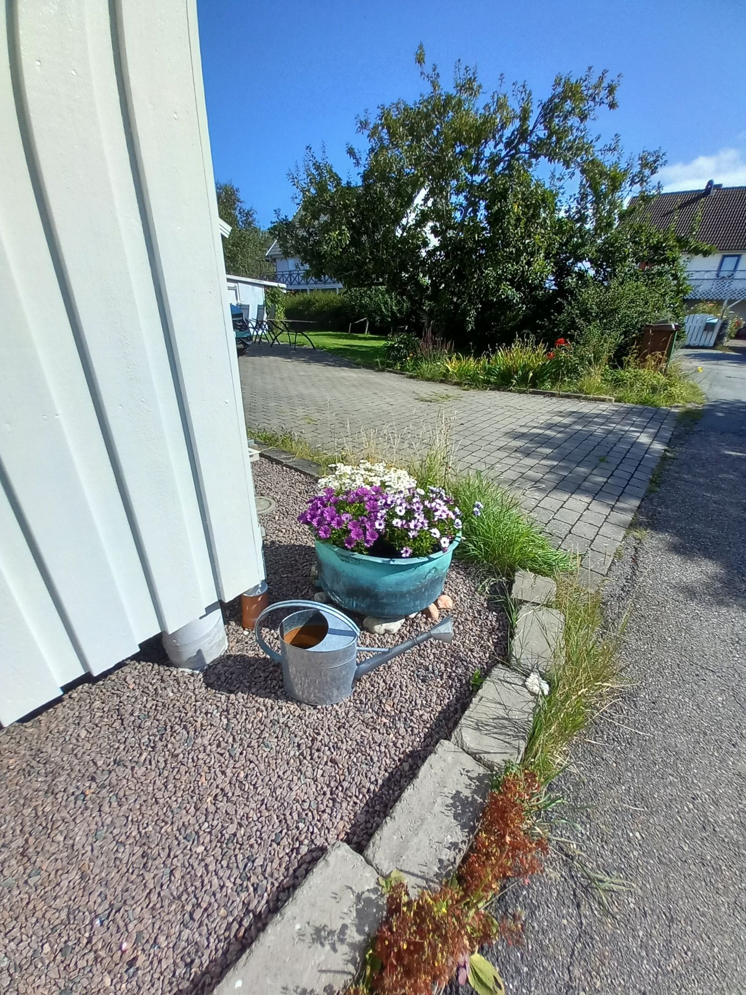 Don Rodolfos på Rörö – bild 3 av 23