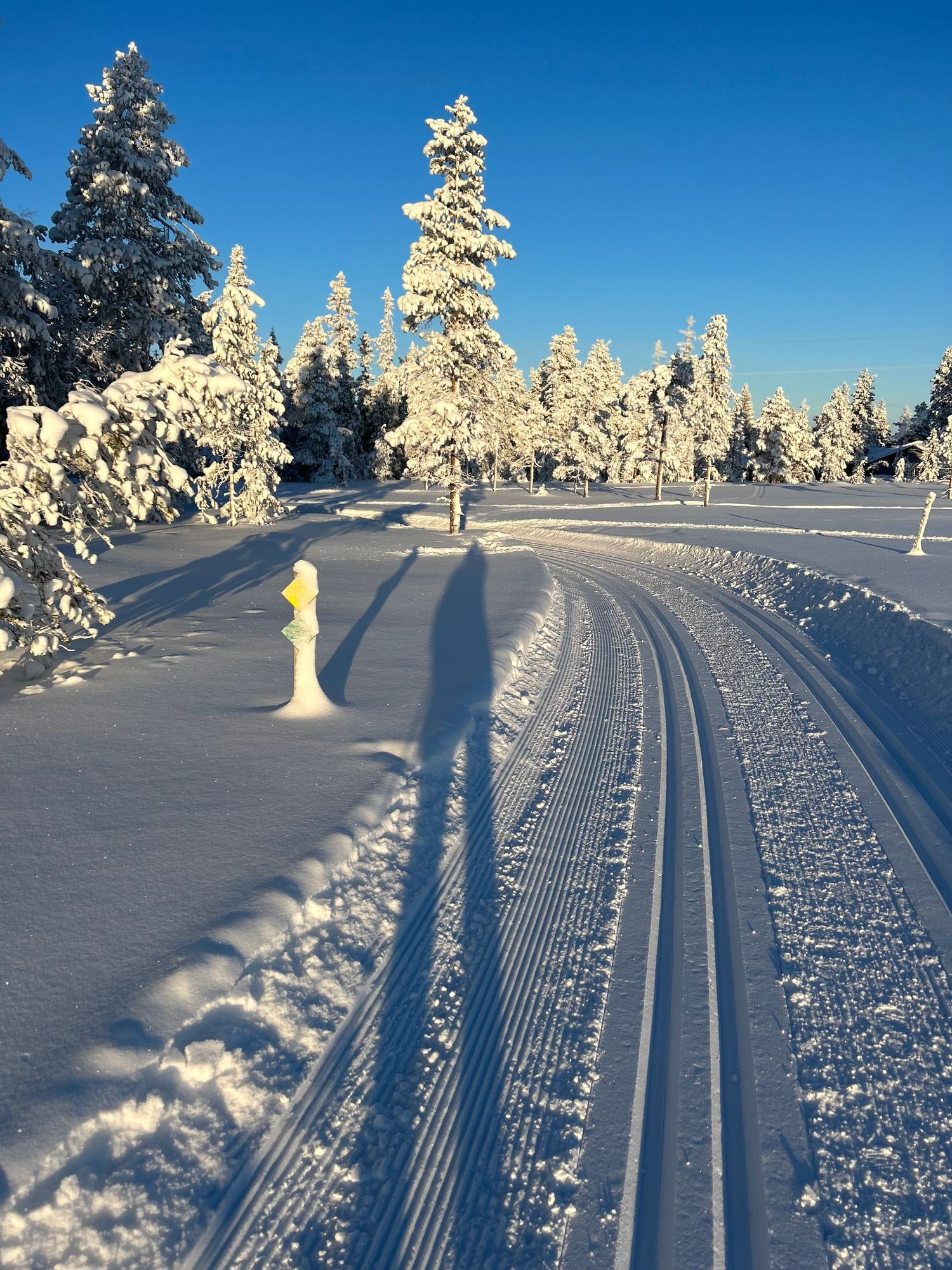 Mysig stuga i bästa solläge  Lindvallen Sälen – bild 12 av 13