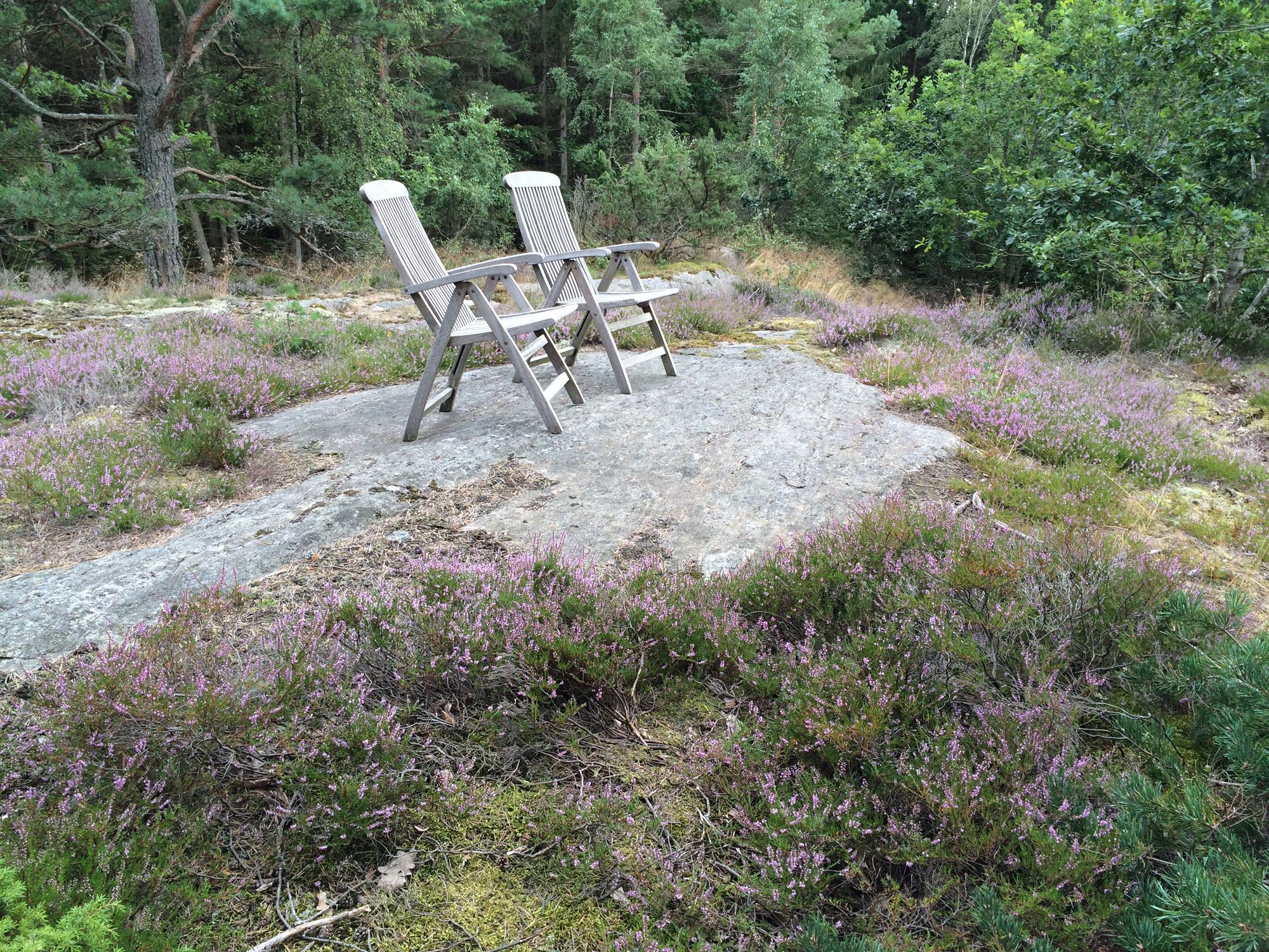 Stuga, Orust, Bohuslän, lugnt läge, skog, havsnära – bild 15 av 23