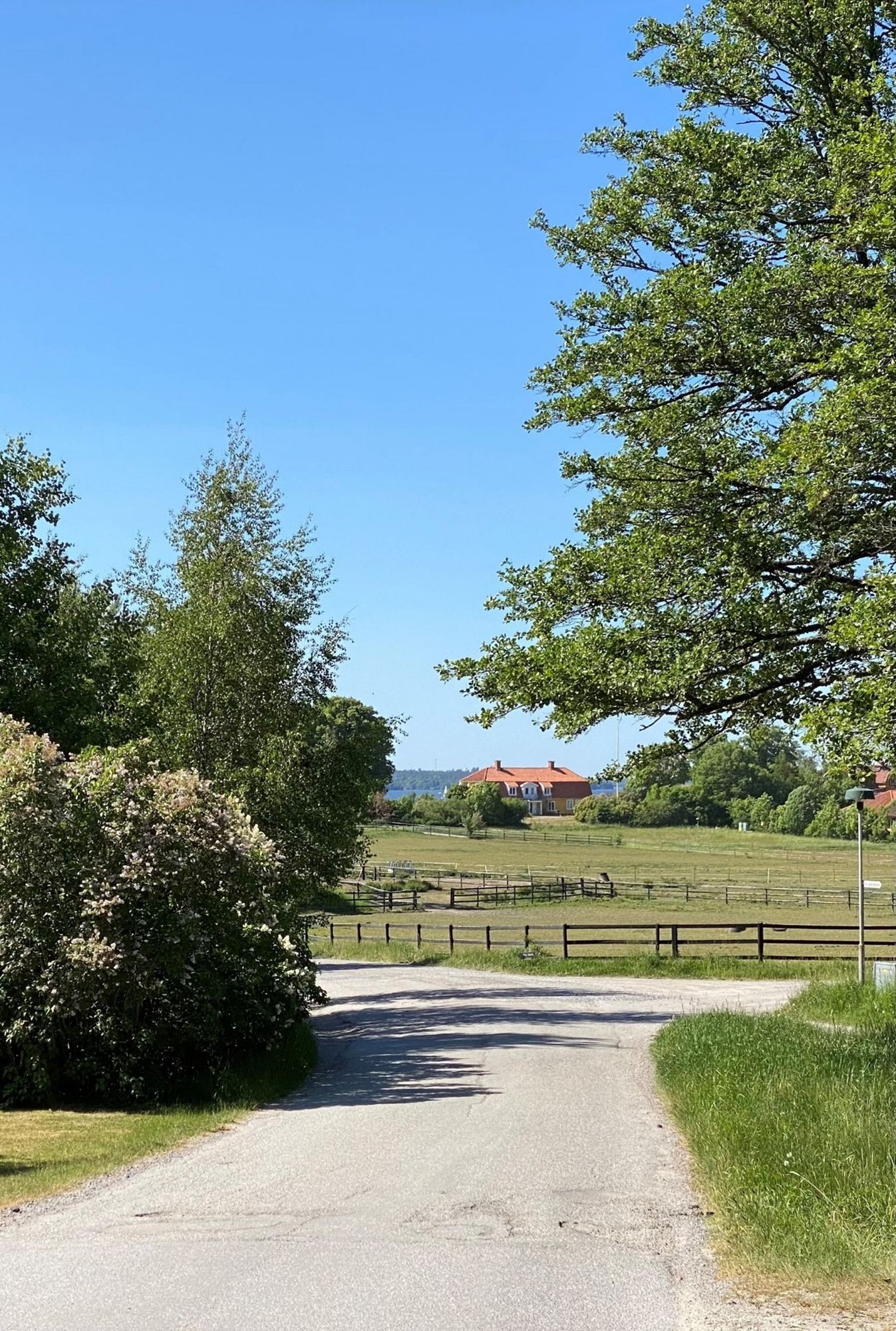 Adelsö idyll vid Mälaren med bastu och stor tomt – bild 21 av 24