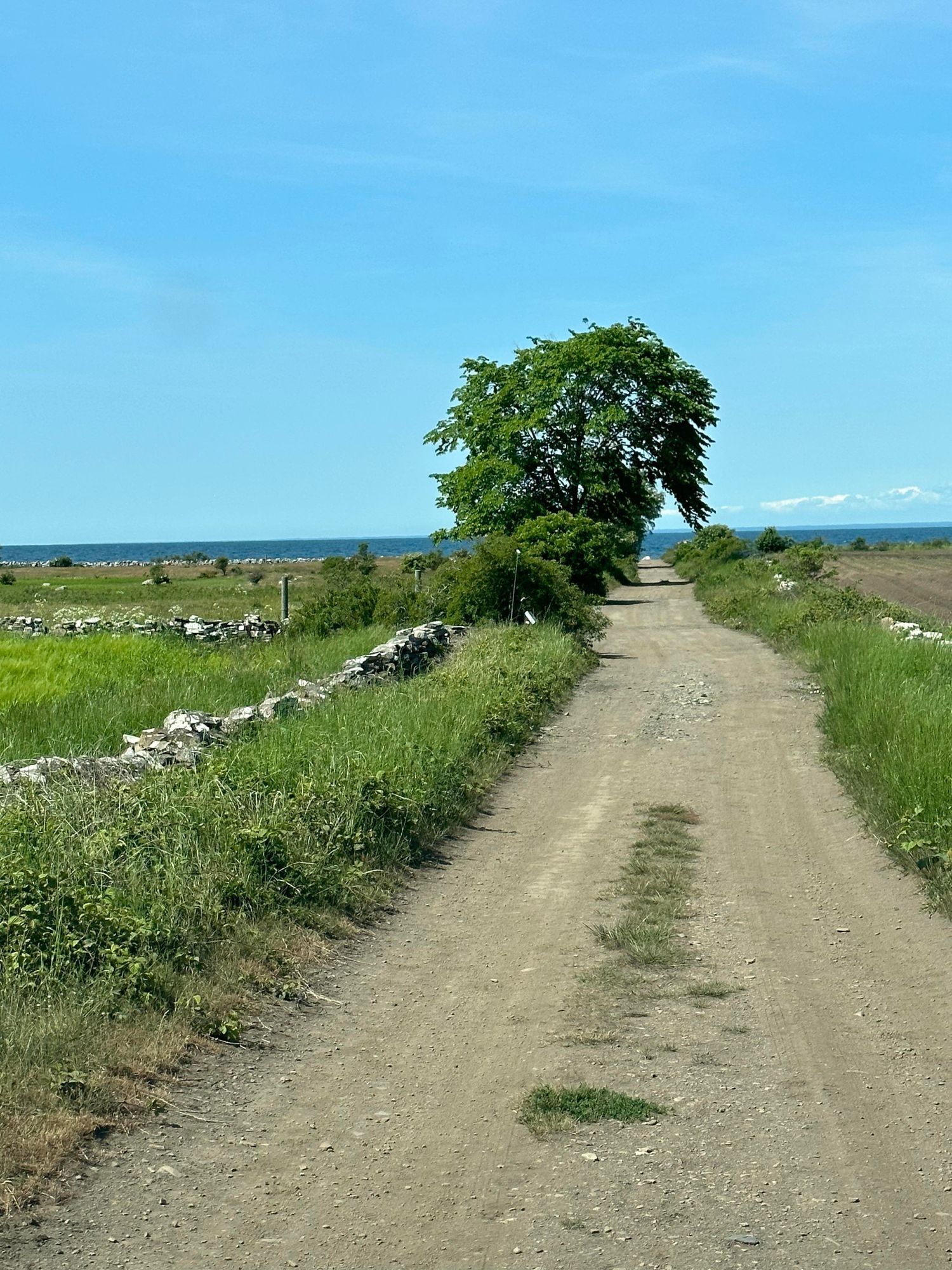 Stuga S Öland Med Havusikt & nära till golfbana – bild 18 av 20