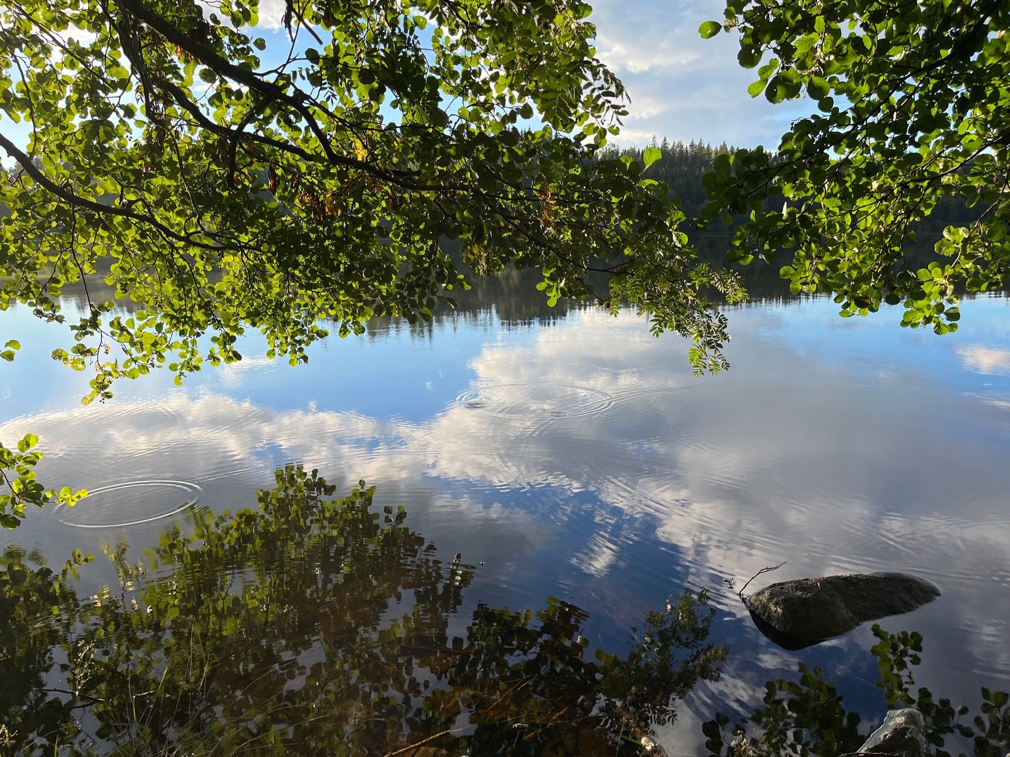 Stort hus i Småland – bild 23 av 24