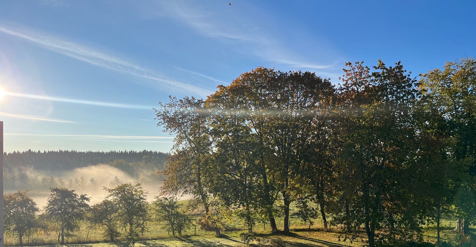 Stort hus i Småland – bild 24 av 24