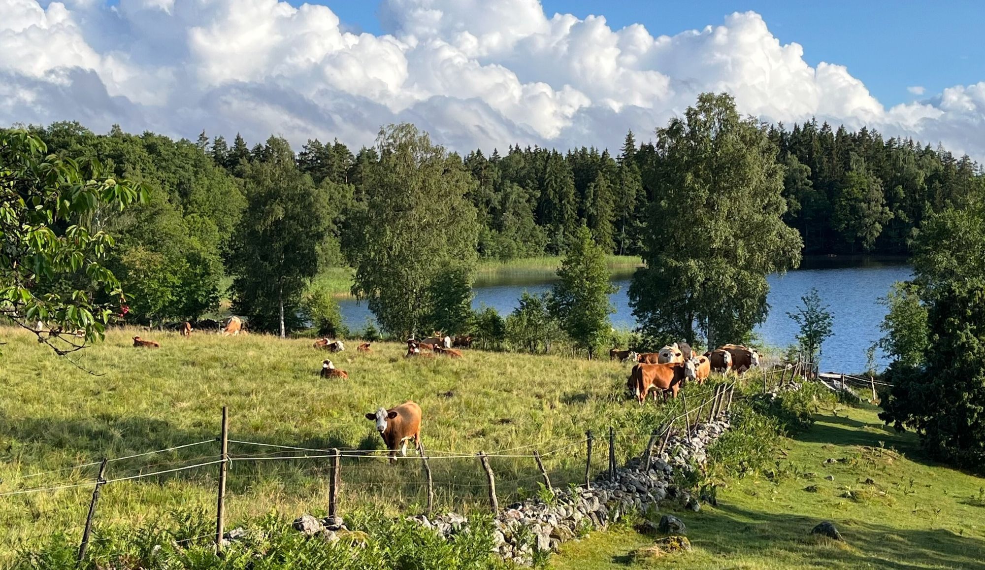 Stort hus i Småland – bild 18 av 24