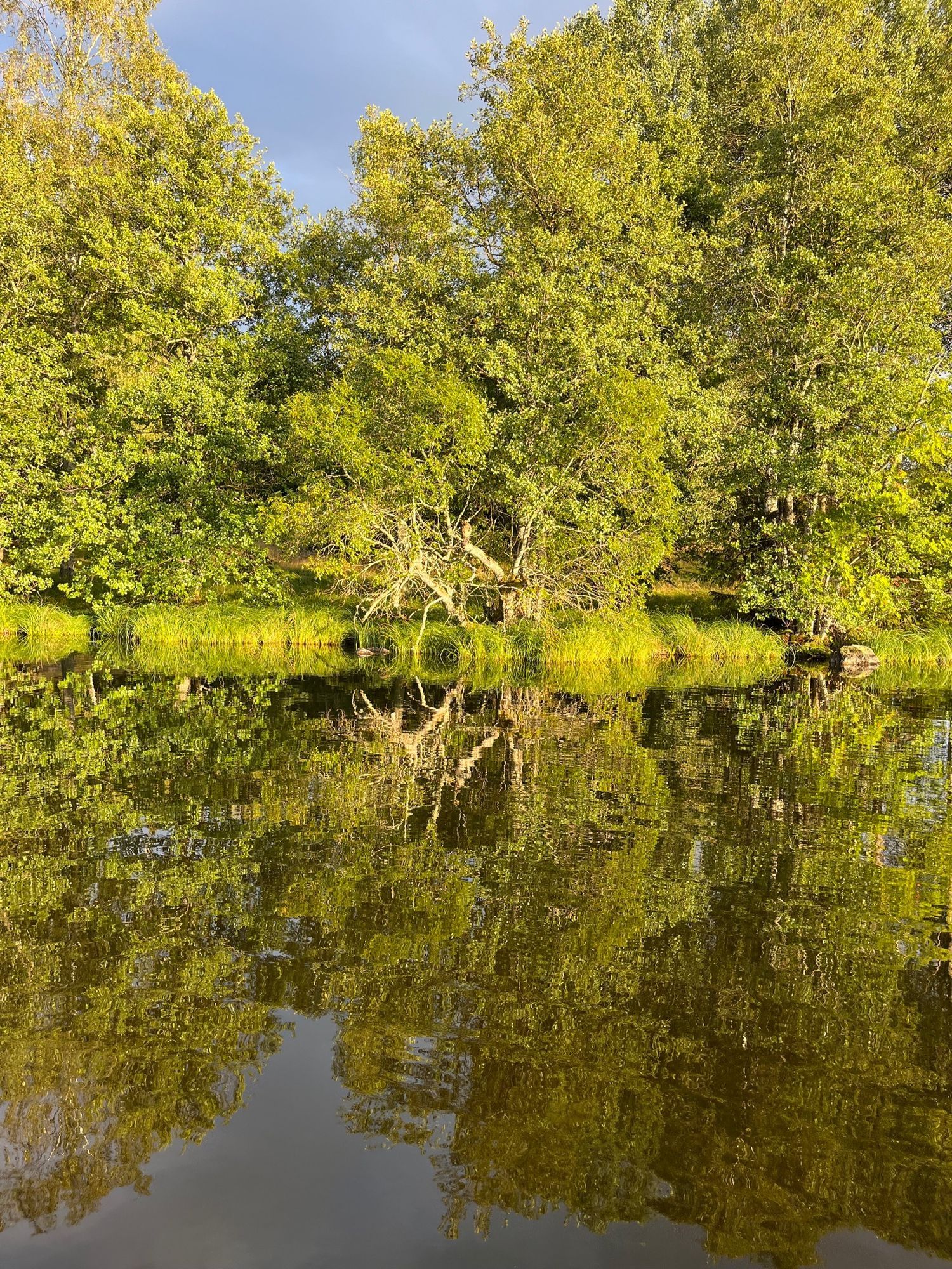 Stort hus i Småland – bild 22 av 24